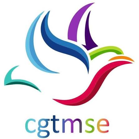 CGTMSE Trust